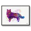 Border Collie Watercolour Splash Print - Dog Inspired Framed & Unframed Wall Art 1 watercolour splash dogs border collie framed art print front view white