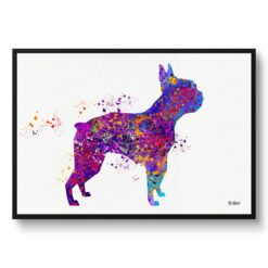 Boston Terrier Watercolour Splash Print - Dog Inspired Framed & Unframed Wall Art