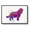 watercolour splash dogs cavalier king charles spaniel framed art print front view white