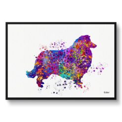 Collie Watercolour Splash Print - Dog Inspired Framed & Unframed Wall Art