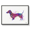 watercolour splash dogs dachshund framed art print front view white
