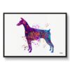 watercolour splash dogs doberman framed art print front view white