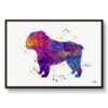 English Bulldog Watercolour Splash Print - Dog Inspired Framed & Unframed Wall Art