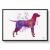 Hungarian Vizsla Watercolour Splash Print - Dog Inspired Framed & Unframed Wall Art 1 watercolour splash dogs hungarian vizsla framed art print front view white