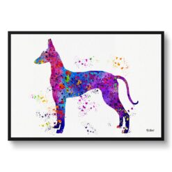 Ibizan Hound Watercolour Splash Print - Dog Inspired Framed & Unframed Wall Art