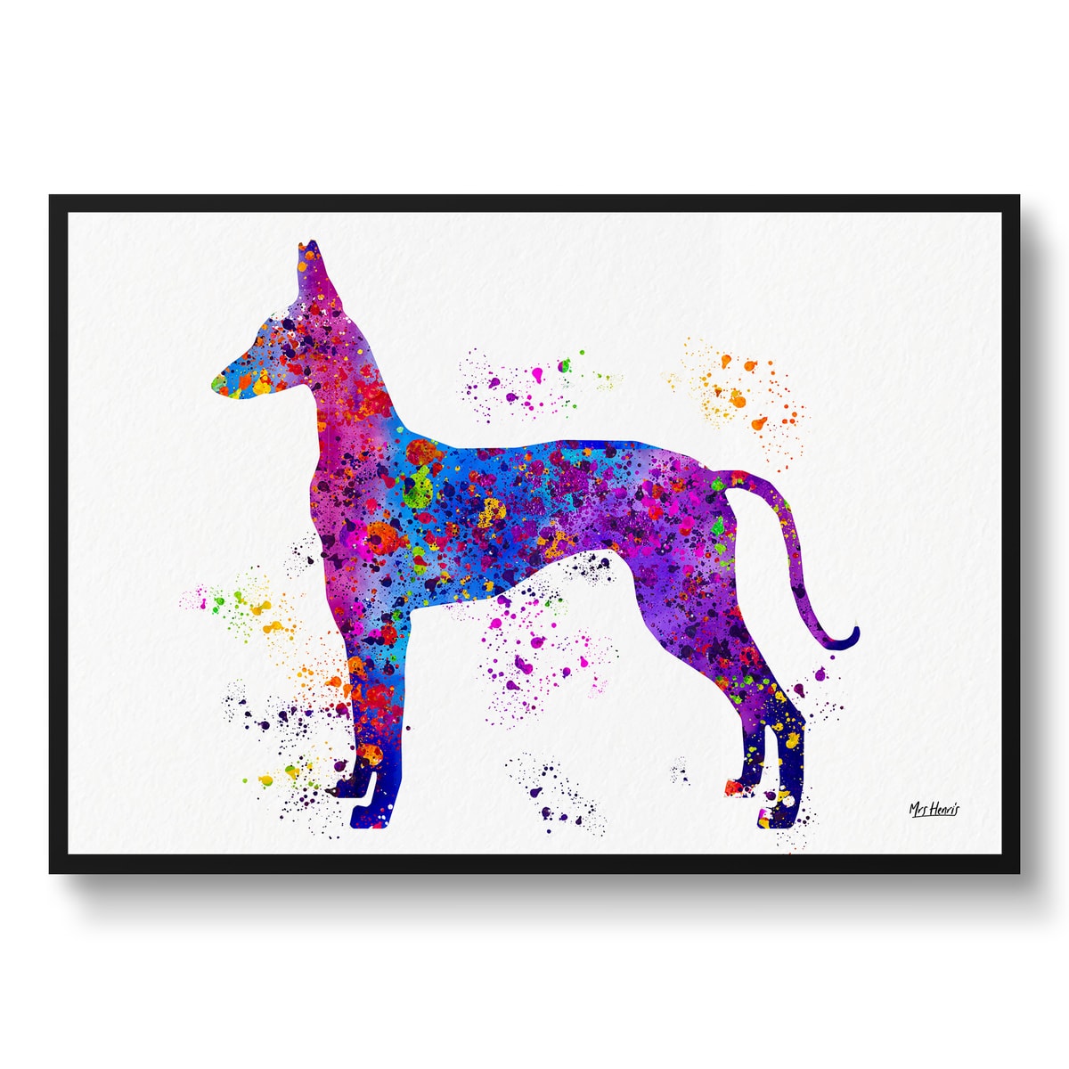 Ibizan Hound Watercolour Splash Print - Dog Inspired Framed & Unframed Wall Art 1 Ibizan Hound Watercolour Splash Print - Dog Inspired Framed & Unframed Wall Art