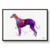 watercolour splash dogs italian greyhound framed art print front view white