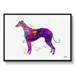 Italian Greyhound Watercolour Splash Print - Dog Inspired Framed & Unframed Wall Art