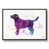 Labrador Retriever Watercolour Splash Print - Dog Inspired Framed & Unframed Wall Art 1 watercolour splash dogs labrador retriever framed art print front view white
