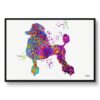 watercolour splash dogs poodle framed art print front view white