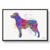 watercolour splash dogs rottweiler framed art print front view white