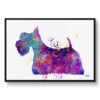watercolour splash dogs scottish terrier framed art print front view white