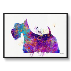 Scottish Terrier Watercolour Splash Print - Dog Inspired Framed & Unframed Wall Art