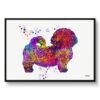 Shih Tzu Watercolour Splash Print - Dog Inspired Framed & Unframed Wall Art 1 watercolour splash dogs shih tzu framed art print front view white