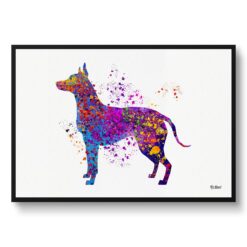 Xoloitzcuintli Watercolour Splash Print - Dog Inspired Framed & Unframed Wall Art