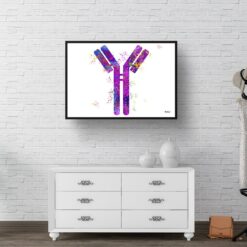 Antibodies Watercolour Print IGG Immunoglobin Medical Doctor Office Clinic Wall Art 8 paint splash medical antibodies landscape framed art print 40x28 hall