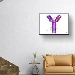 Antibodies Watercolour Print IGG Immunoglobin Medical Doctor Office Clinic Wall Art 10 paint splash medical antibodies landscape framed art print 40x28 living room