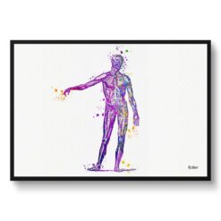 Body Watercolour Print Human Muscular System Anatomy Medical Doctor Office Clinic Wall Art
