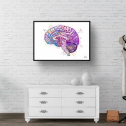 Brain (Side View) Watercolour Print Human Neurology Medical Doctor Office Clinic Wall Art 9 paint splash medical brain side landscape framed art print 40x28 hall