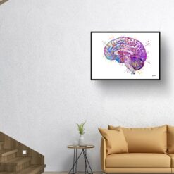 Brain (Side View) Watercolour Print Human Neurology Medical Doctor Office Clinic Wall Art 11 paint splash medical brain side landscape framed art print 40x28 living room