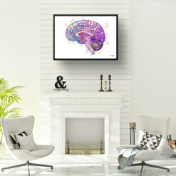 Brain (Side View) Watercolour Print Human Neurology Medical Doctor Office Clinic Wall Art 12 paint splash medical brain side landscape framed art print a4 office