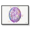 Brain (Top View) Watercolour Print Human Neurology Medical Doctor Office Clinic Wall Art 1 paint splash medical brain top framed art print front view white