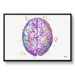 Brain (Top View) Watercolour Print Human Neurology Medical Doctor Office Clinic Wall Art
