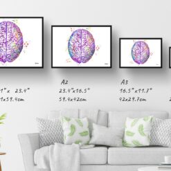 paint splash medical brain top landscape framed art print size comparison