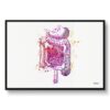 Digestive System Watercolour Print Medical Doctor Office Clinic Wall Art 2 paint splash medical digestive system framed art print front view white