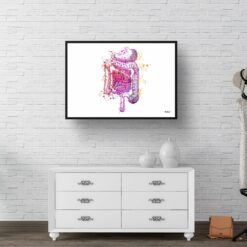 Digestive System Watercolour Print Medical Doctor Office Clinic Wall Art 9 paint splash medical digestive system landscape framed art print 40x28 hall