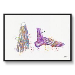 Feet Bones Anatomy Watercolour Print Foot Medical Doctor Office Clinic Wall Art