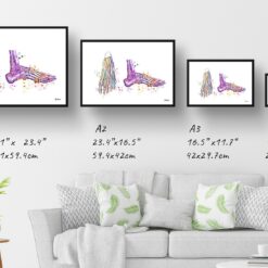 Feet Bones Anatomy Watercolour Print Foot Medical Doctor Office Clinic Wall Art 13 paint splash medical feet landscape framed art print size comparison