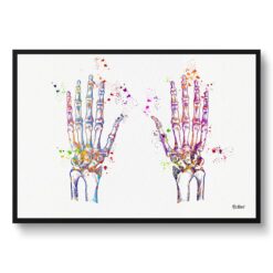 Hand Bones Anatomy Watercolour Print Hand Surgeon Medical Doctor Office Clinic Wall Art
