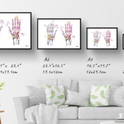 Hand Bones Anatomy Watercolour Print Hand Surgeon Medical Doctor Office Clinic Wall Art 13 paint splash medical hands landscape framed art print size comparison