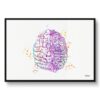 paint splash medical mechanical brain framed art print front view white