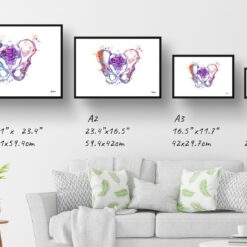 Pelvis Anatomy Watercolour Print Hip Bone Medical Doctor Office Clinic Wall Art 13 paint splash medical pelvis hip landscape framed art print size comparison