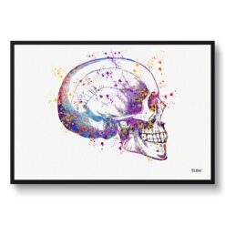 Skull & Teeth Watercolour Print Tooth Anatomy Medical Dentist Office Clinic Wall Art