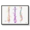 Spine / Vertebrae Anatomy Watercolour Print Spinal Column Orthopedists Doctor Office Clinic Wall Art 2 paint splash medical spine framed art print front view white