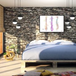 Spine / Vertebrae Anatomy Watercolour Print Spinal Column Orthopedists Doctor Office Clinic Wall Art 10 paint splash medical spine landscape framed art print 40x28 bedroom