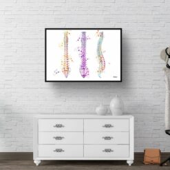 Spine / Vertebrae Anatomy Watercolour Print Spinal Column Orthopedists Doctor Office Clinic Wall Art 9 paint splash medical spine landscape framed art print 40x28 hall