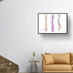 Spine / Vertebrae Anatomy Watercolour Print Spinal Column Orthopedists Doctor Office Clinic Wall Art 11 paint splash medical spine landscape framed art print 40x28 living room