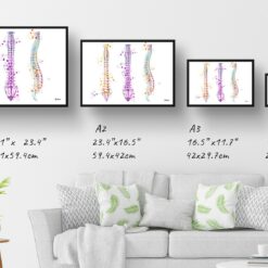 Spine / Vertebrae Anatomy Watercolour Print Spinal Column Orthopedists Doctor Office Clinic Wall Art 13 paint splash medical spine landscape framed art print size comparison