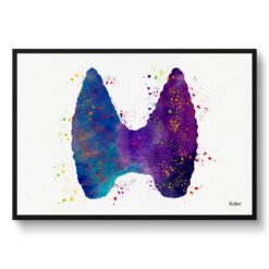 Thyroid Gland Anatomy Watercolour Endocrinology Medical Doctor Office Clinic Wall Art