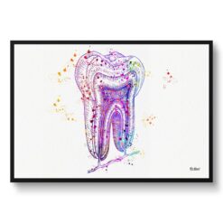 Tooth Structure Watercolour Print Tooth Cross Section Anatomy Dental Office Clinic Wall Art