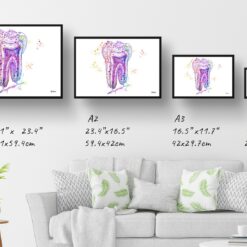 Tooth Structure Watercolour Print Tooth Cross Section Anatomy Dental Office Clinic Wall Art 12 paint splash medical tooth structure landscape framed art print size comparison