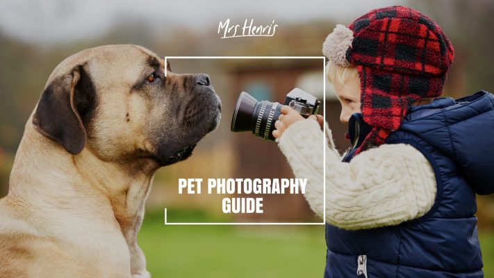 the complete guide to pet photography 1