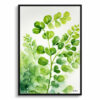 watercolour botanical print flowers adiantum pedatum front view