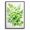 Adiantum Pedatum Minimalist Watercolour Botanical Art Print - Northern Five-fingered Fern Framed Plant Wall Art 2 watercolour botanical print flowers adiantum pedatum minimalist front view