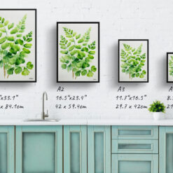 watercolour botanical print flowers adiantum pedatum minimalist print size comparison
