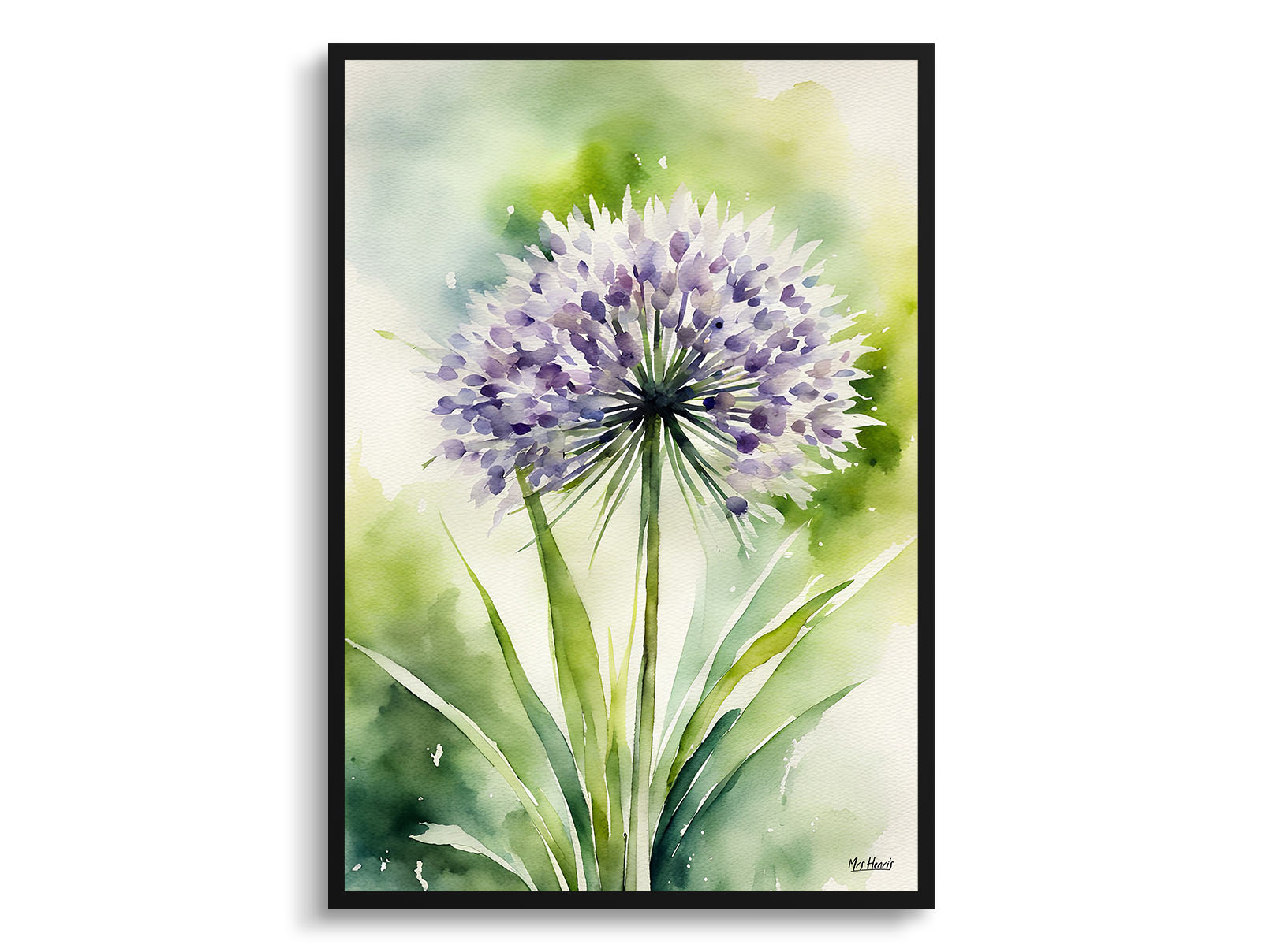 Allium Nigrum Watercolour Botanical Art Print - Crow Wild Garlic Framed Plant Wall Art 3 Allium Nigrum Watercolour Botanical Art Print - Crow Wild Garlic Framed Plant Wall Art